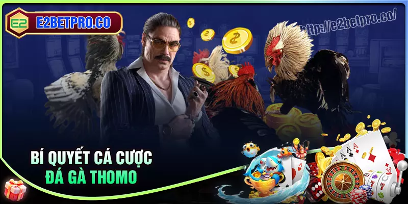 Bí quyết cược đá gà thomo đỉnh cao tại E2BET