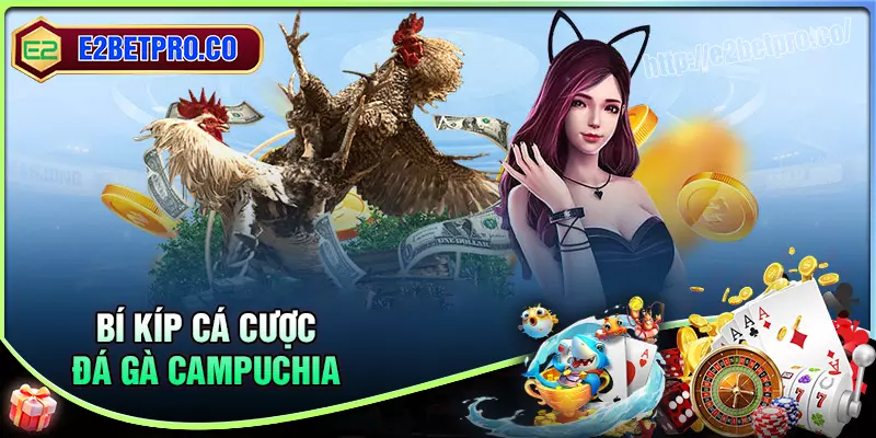 Bỏ túi ngay bí kíp chơi đá gà Campuchia siêu hay Bỏ túi ngay bí kíp chơi đá gà Campuchia siêu hay
