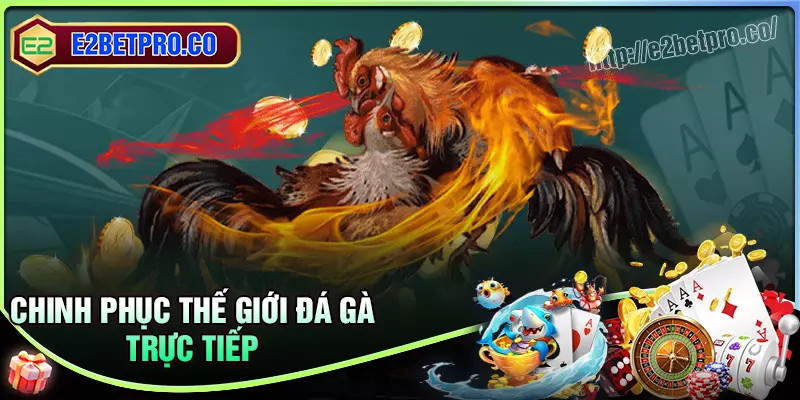 Chinh phục thế giới đá gà trực tiếp E2BET hấp dẫn Chinh phục thế giới đá gà trực tiếp E2BET hấp dẫn