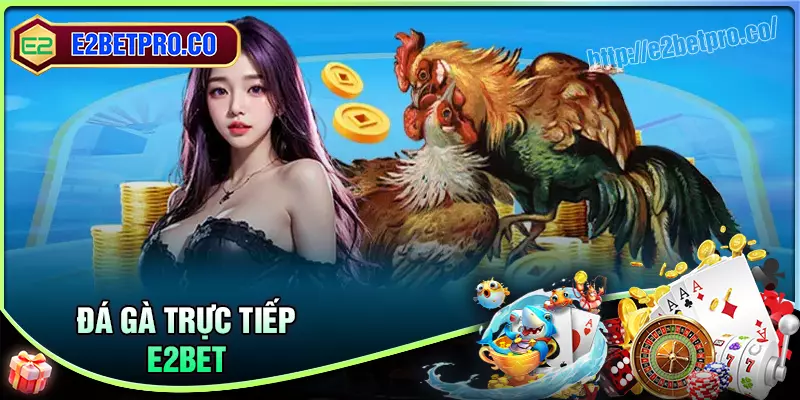 Đá gà E2BET - Đấu trường trực hấp dẫn kịch tính