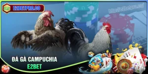 Đá gà Campuchia E2BET - Mãn nhãn với những trận chiến nảy lửa