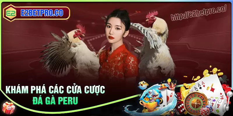 Khám phá các cửa cược đá gà Peru tại e2bet Khám phá các cửa cược đá gà Peru tại e2bet
