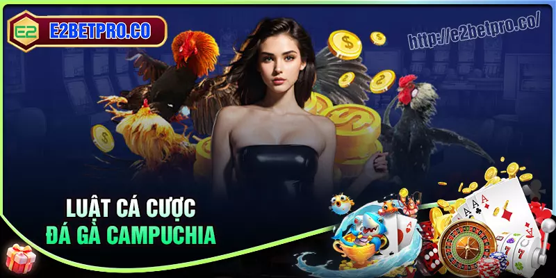 Luật cá độ đá gà Campuchia chi tiết 2025 Luật cá độ đá gà Campuchia chi tiết 2025