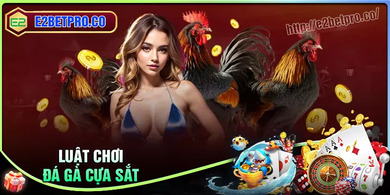 Luật chơi đá gà cựa sắt tại e2bet cược thủ nên biết Luật chơi đá gà cựa sắt tại e2bet cược thủ nên biết