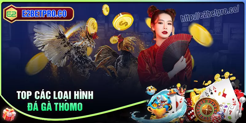 Một số loại hình đá gà thomo ăn khách hiện nay
