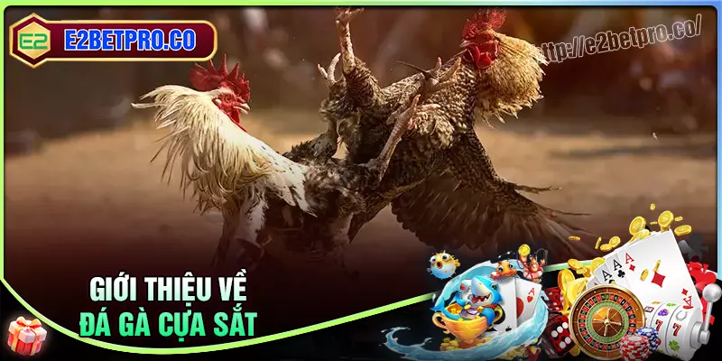 Tổng quan về game đá gà cựa sắt e2bet hấp dẫn Tổng quan về game đá gà cựa sắt e2bet hấp dẫn