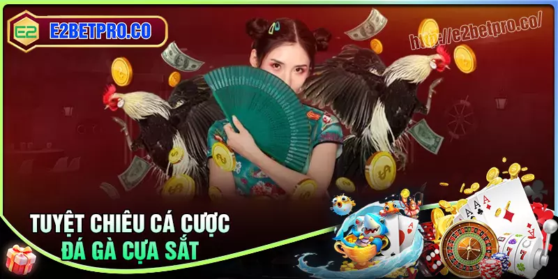 Tuyệt chiêu chơi đá gà cựa sắt thắng đậm Tuyệt chiêu chơi đá gà cựa sắt thắng đậm